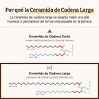 Crema Reparadora de Barrera con Ceramidas LC – Hidratación Profunda y Piel Reforzada