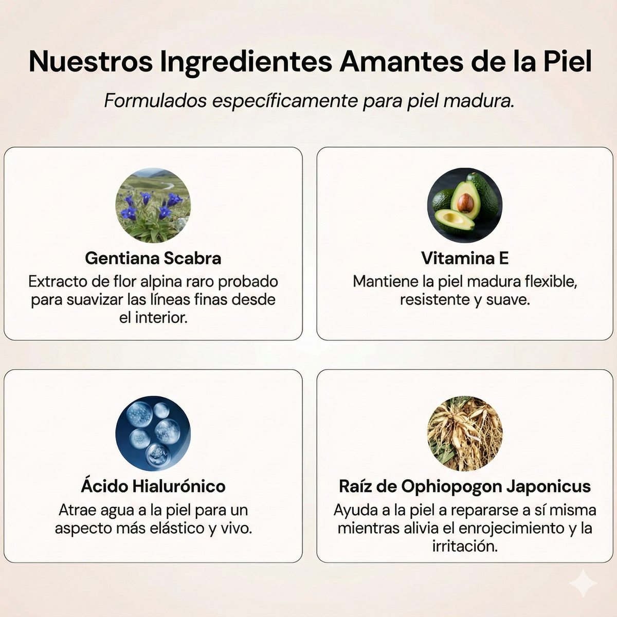 Base de Maquillaje Antiedad SPF 50 | Se Adapta a tu Piel