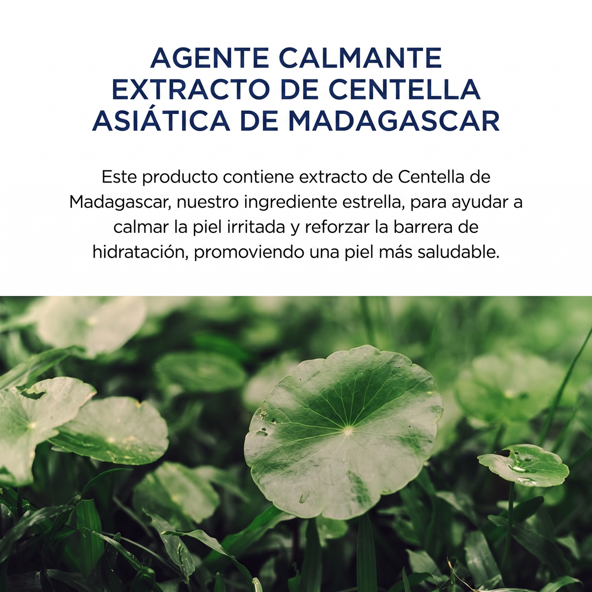 Sérum Solar Hidratante Hyalu-Cica SPF 50 con Centella Asiática de Madagascar 50ml