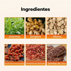 Parche Japonés Herbal Adelgazante