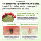 Multi-Bálsamo Coreano en Stick con Efecto Frío (Cactus Cooling) para Minimizar Poros, Desinflamar el Rostro y Reparar la Piel